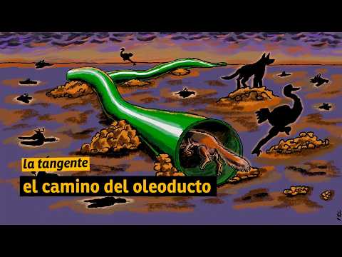 el camino del oleoducto, por Gabriela Cabezón Cámara