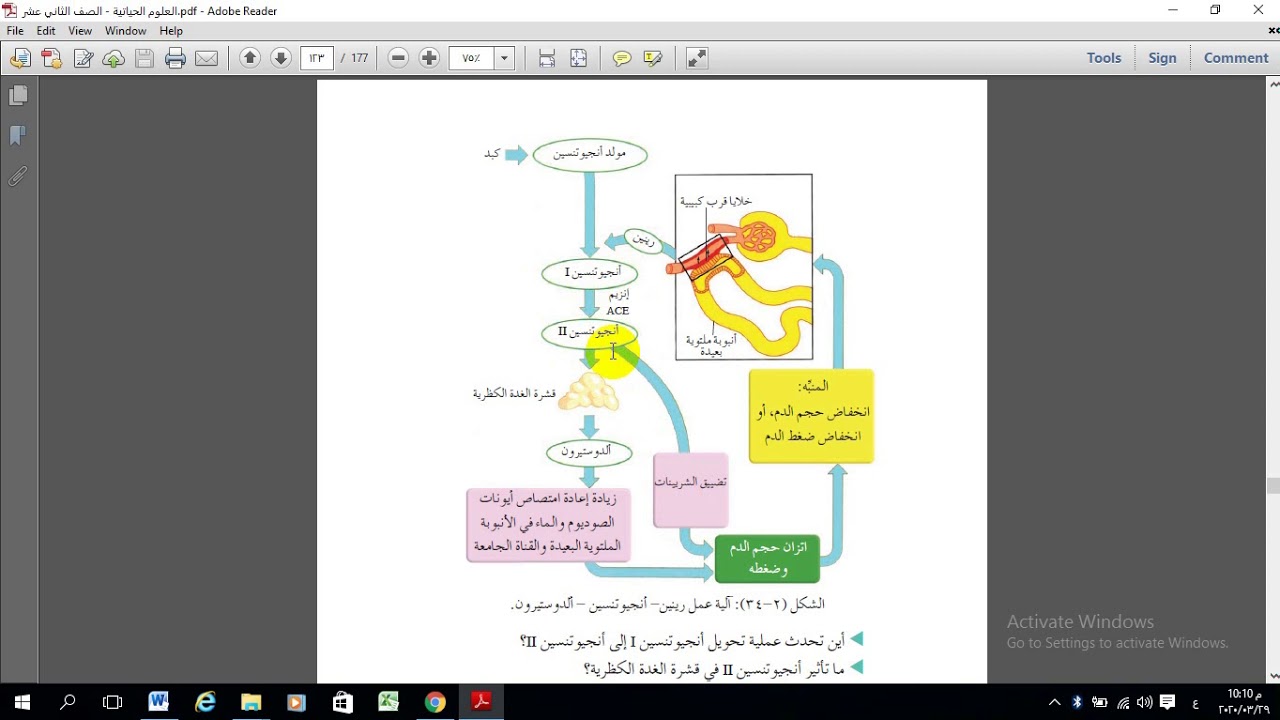 دور الهرمونات في ضبط عمل الكلية ص 121 الاستاذ عادل عدوي Youtube