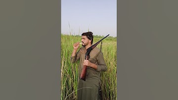 Duck Calling Showdown Which Call is Best