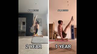 Celebrity V-Sit Progress Comparison (1 Year) Wealth