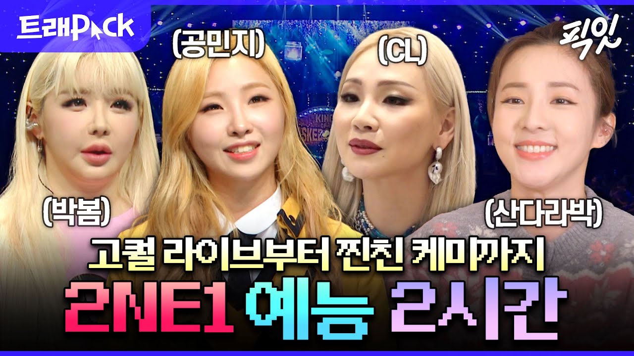 [픽잇] 세월이 흘려도 여전히 멋진 2NE1 2시간 모음.zip MBC191229방송