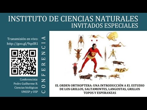 Una introducción a el estudio de los grillos, saltamontes, langostas, grillos topos y esperanzas