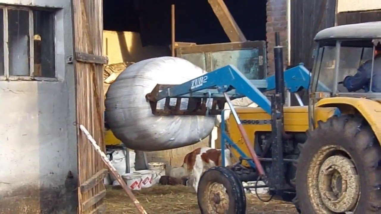 Codzienne Obowiązki 2016 Gospodarstwo Mleczne