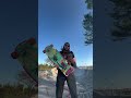 Estate sale flipping is easier than learning how to kick flip