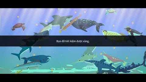 cách kiếm tiền trong game fishing life nha fishing life