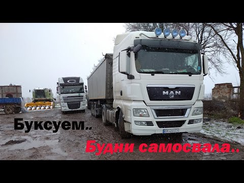 Будни самосвального зерновоза. Снова ночные погрузки! Снова форсируем грязь и буксуем в поле..
