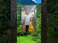 Почему здоровье — это настоящее богатство #Здоровье #Shorts