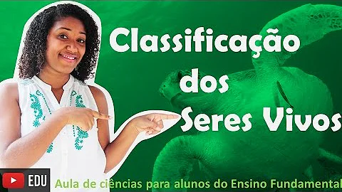 Como os seres vivos podem ser classificados de acordo?