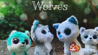 Wolves | Beanie Boo Music Video