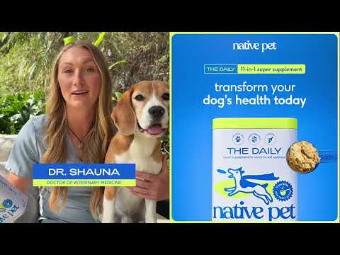 Native YouTube ad: Supplements for Dogs? Here’s Why They Need Them Too