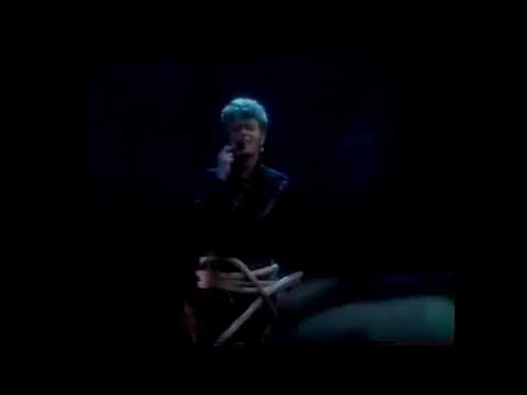 David Bowie - "Heroes", Live in front of the Reichstag 1987 (with edited pics from the news)