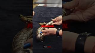 This Woman Thought it was A Rare Pirate Pistol #antiques #pawnstars #rare