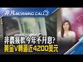 升息時間表延後 美短債先有反應殖利率走跌 AI科技股狂飆踩煞車! 美股國慶長假前湧賣壓｜主播葉俞璘｜【非凡Morning Call】20260706｜非凡財經新聞