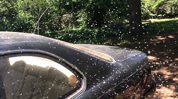 Unreal termite swarm.