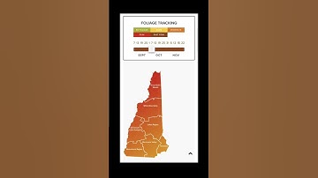 New Hempshire Foliage Tracker, New Hampshire Peak Foliage Map #shorts #fall #newhampshire #Foliage