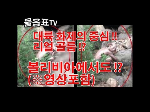 실제 골룸 등장 ?! 중국과 볼리비아에서 !! 실제 영상 첨부 !!