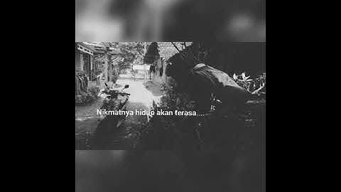Storys wa lagu Sore tugu pancoran ....Fals Fals Fals#Shorts