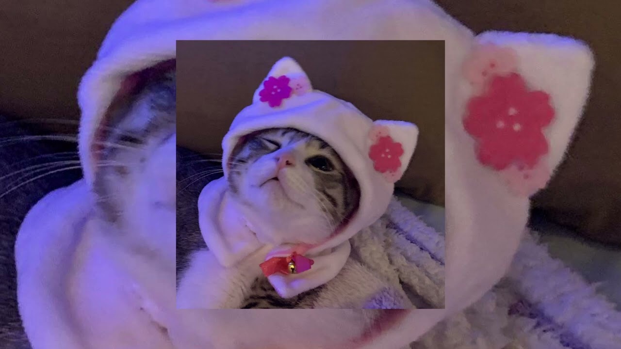 Diamondz N Roses - ( Reversed + Reverb )