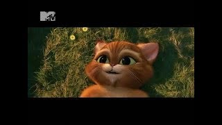 Лучший мультфильм 2011 года: "Кот в сапогах" Лучший мультфильм 2011 года: "Кот в сапогах"