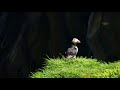 FarOer Islands - Trekking VideoDIARY 4K