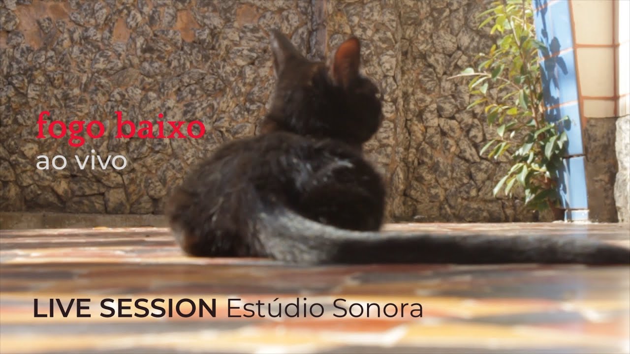 fogo baixo - Live Session Estúdio Sonora