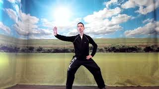 Why is Single Whip the Most Importance Posture of Tai Chi?