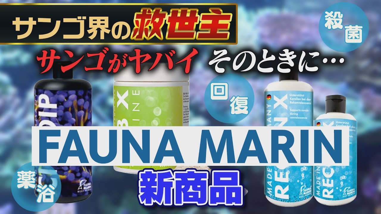 サンゴがヤバイときに使える！　FAUNA MARINの新商品【2024年5月号 vol.3】