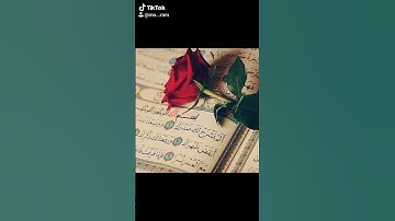 قرآن كريم/ سوره الشرح: الشيخ ياسر الدوسري