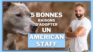 5 bonnes raisons d'adopter un Staff !