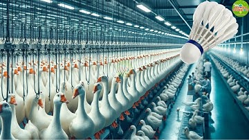 How to Make a Badminton Shuttlecock | Step-by-Step Manufacturing Process |  shuttlecock production