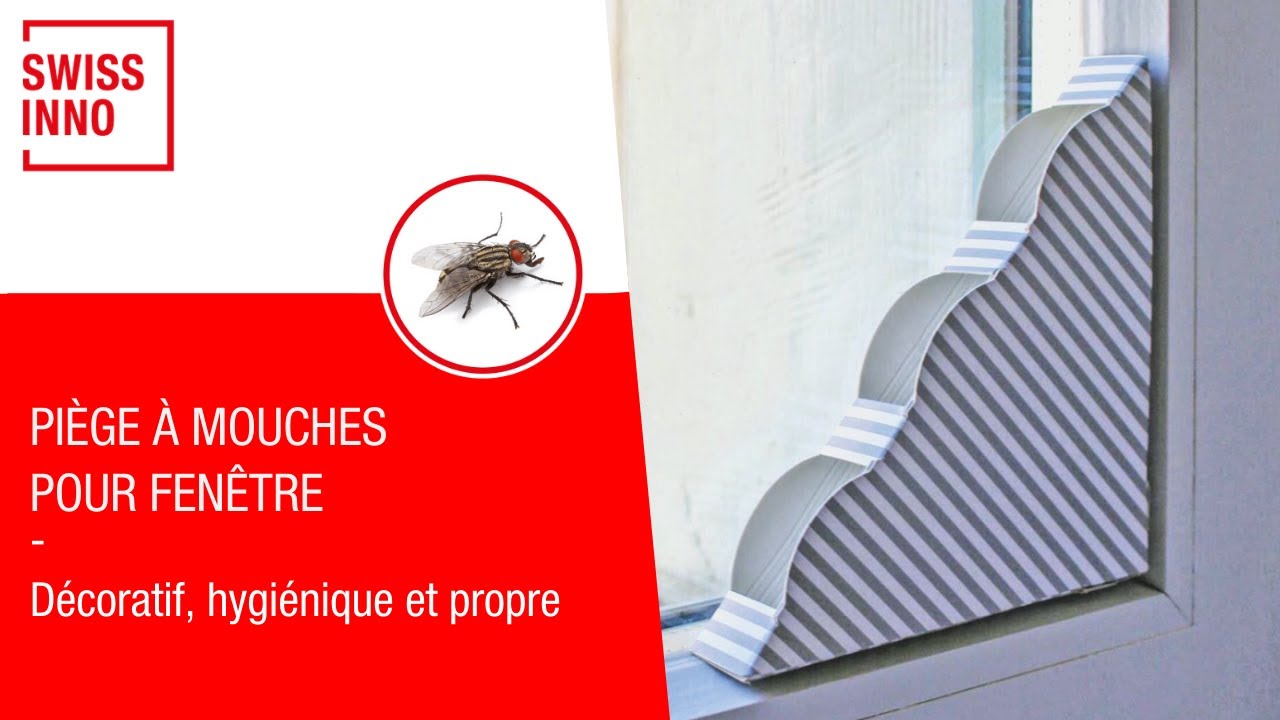 Comment éviter Les Crottes De Mouches Sur Les Vitres