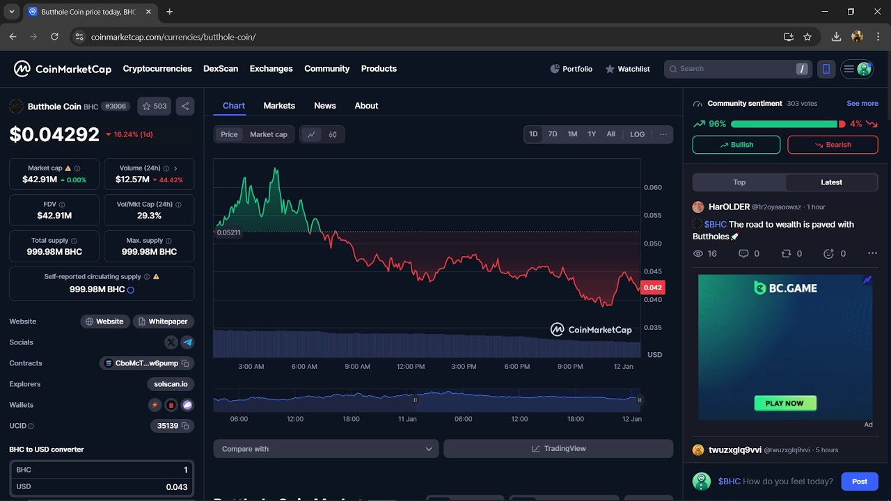 Is Butthole Coin ($BHC) Token Legit or Scam ??