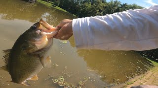 Charlotte NC Bass Fishing | Quick Trip to a Public Park In Search For Big Bass