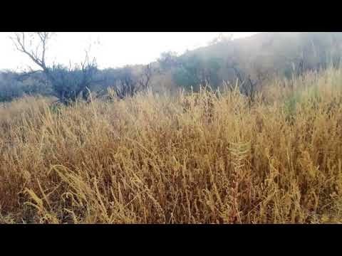 33190 S Moyza Ranch, Amado, AZ home video tour