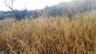 33190 S Moyza Ranch video tour