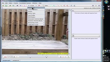 Video Analysis of Constant Velocity