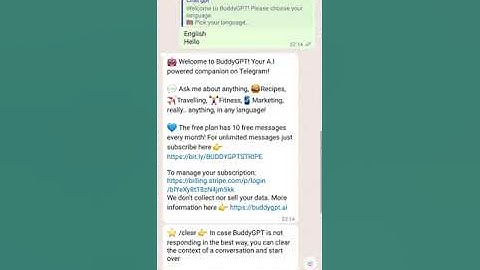ChatGPT or BuddyGPT  WhatsApp version
