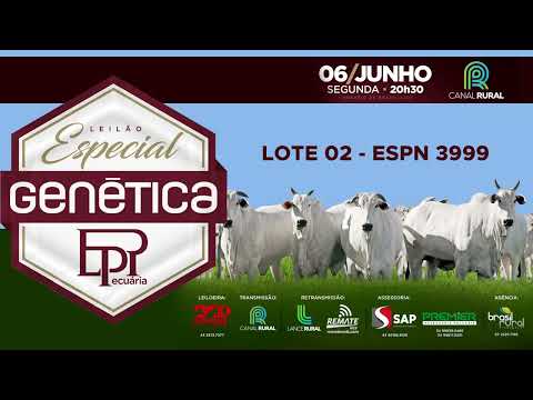 LOTE 02   ESPN 3999