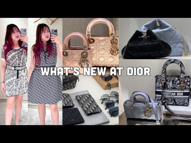 ❣️BRAND NEW ❣️Sac plat in 2023  Louis vuitton bag, Lady dior bag, Bags