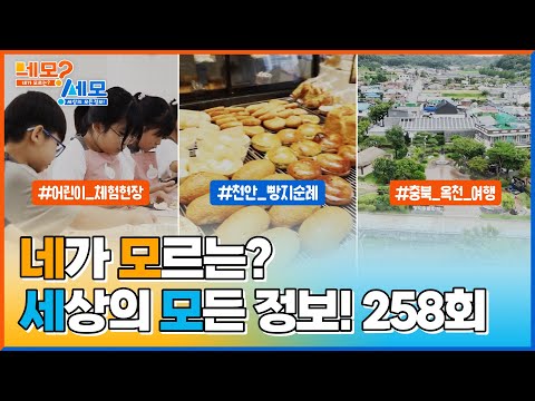 [네모세모] 258회 Full ver. 어린이 체험현장 l 천안 빵지순례 l 충북 옥천 여행