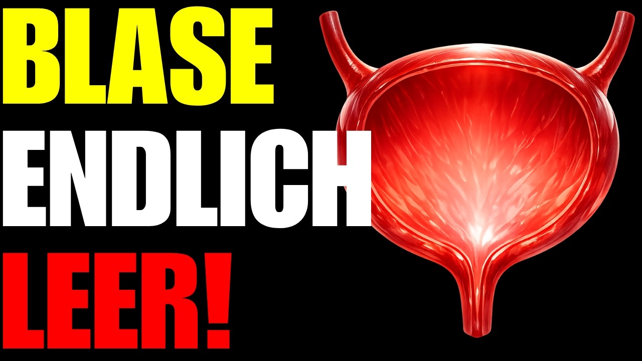 Direkt nach dem Toilettengang – so vermeiden Sie Restharn-Gefühl