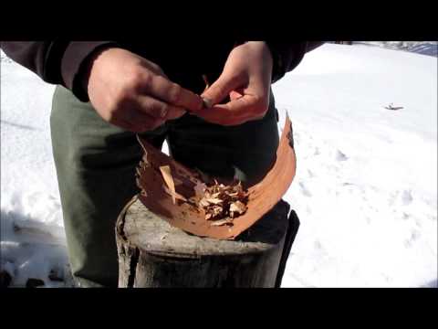 How to light Birch bark with a ferro rod.