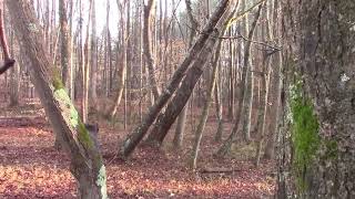 Full fog14 MVI 3866 1 1 2 1 2 News