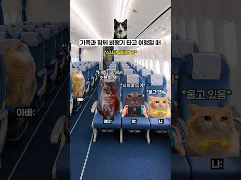 가족과 함께 비행기 타고 여행할 때 ✈️ thumbnail
