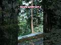 jalan. gumitir jawa timur#shorts #automobile #travel