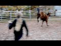Pony beißt und schlägt nach Kindern - kann Ariane Telgen die Ursachen finden? Teil 1/2