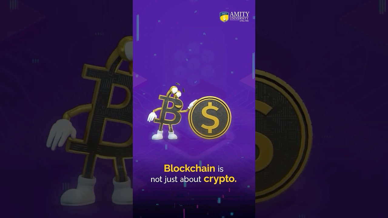 How to Start Your Career in Blockchain | Amity Online