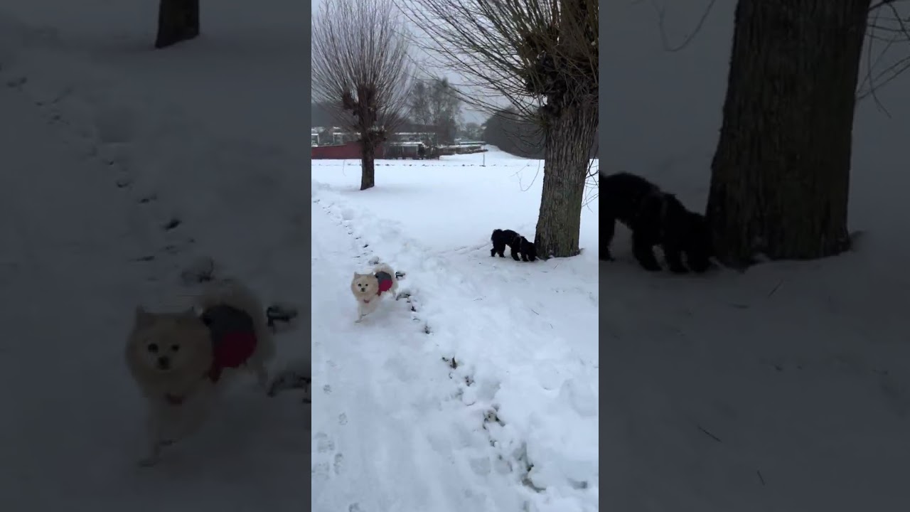 Walking in Lindome Sweden