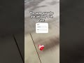 Unlucky parkour guy