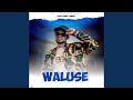Waluse